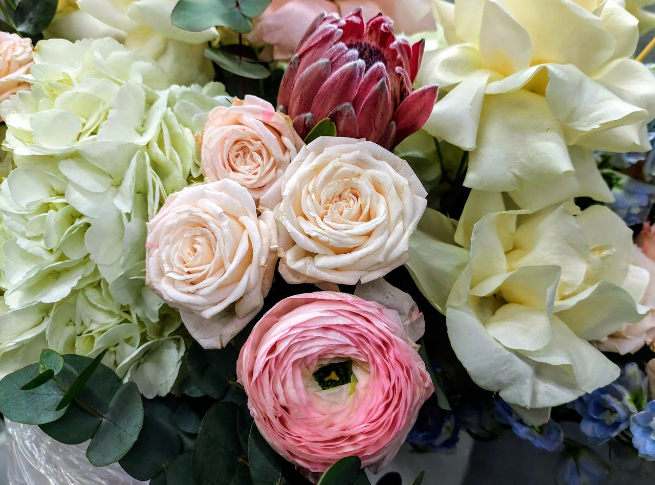 A stunning arrangement with protea, roses, ranunculus, and hydrangeas, showcasing vibrant colors.