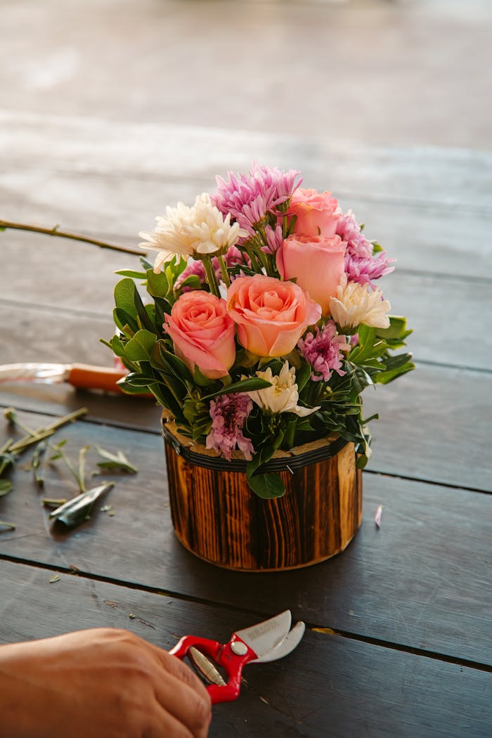 pexels photo 31505803.jpeg