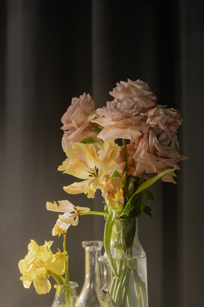 pexels photo 8177672.jpeg